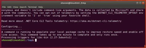 dotnet core version check.